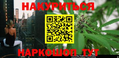 стаф Камышлов