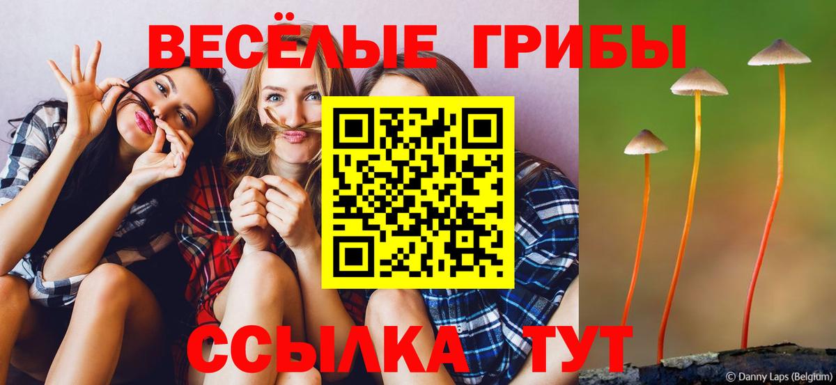 наркошоп  Вход с VPN  Лабинск  Псилоцибиновые грибы MAGIC MUSHROOMS  Псилоцибиновые грибы MAGIC MUSHROOMS 